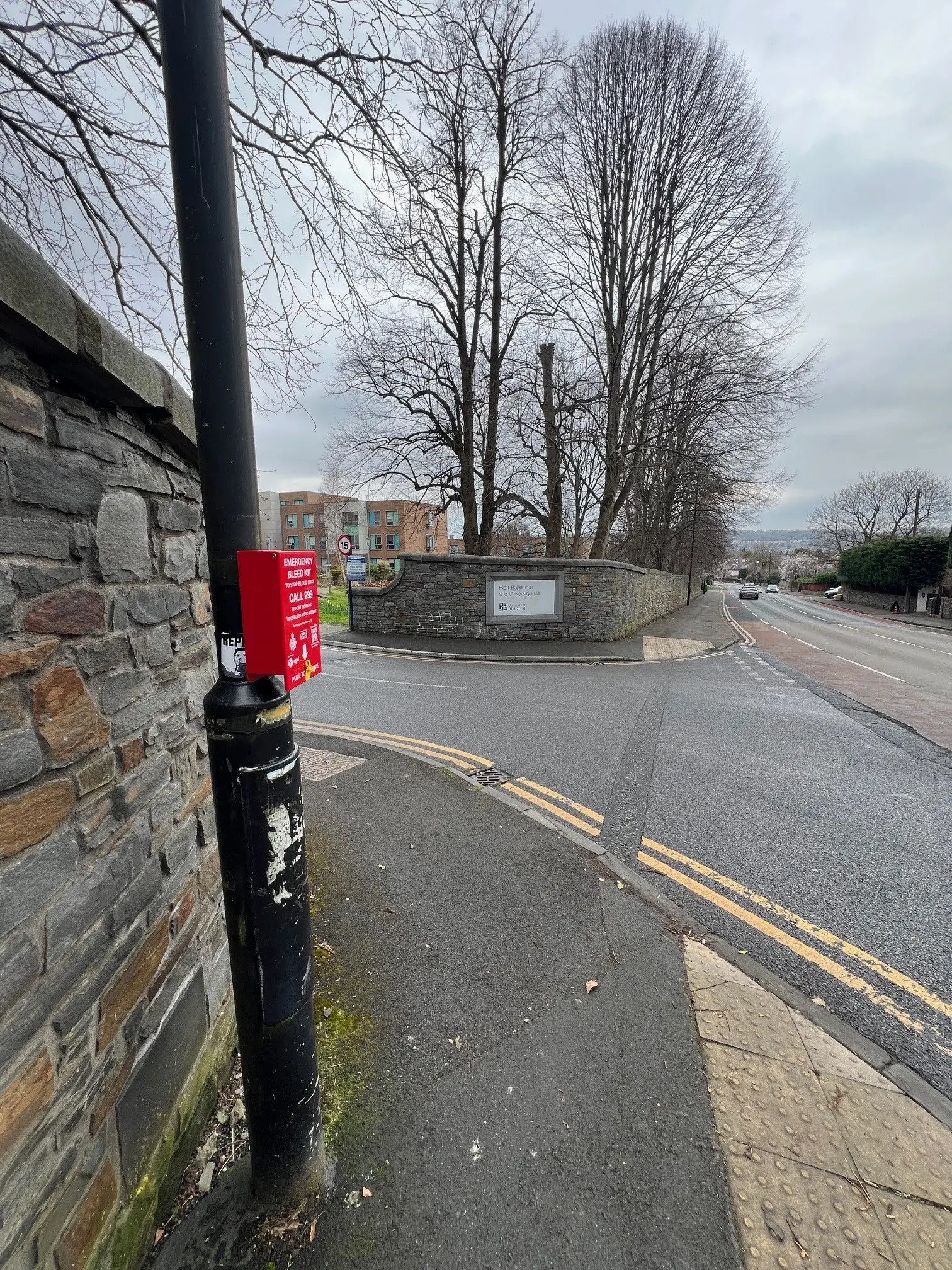 Lamppost on junction of Parry's Lane and the entrance to University