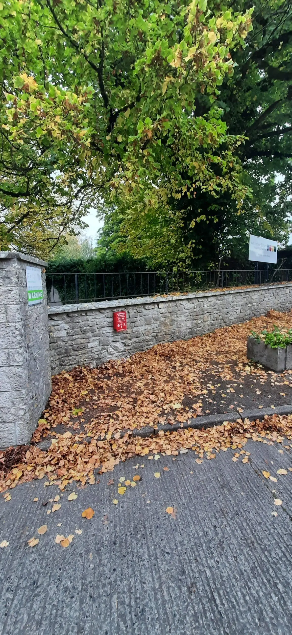 Whitstone School