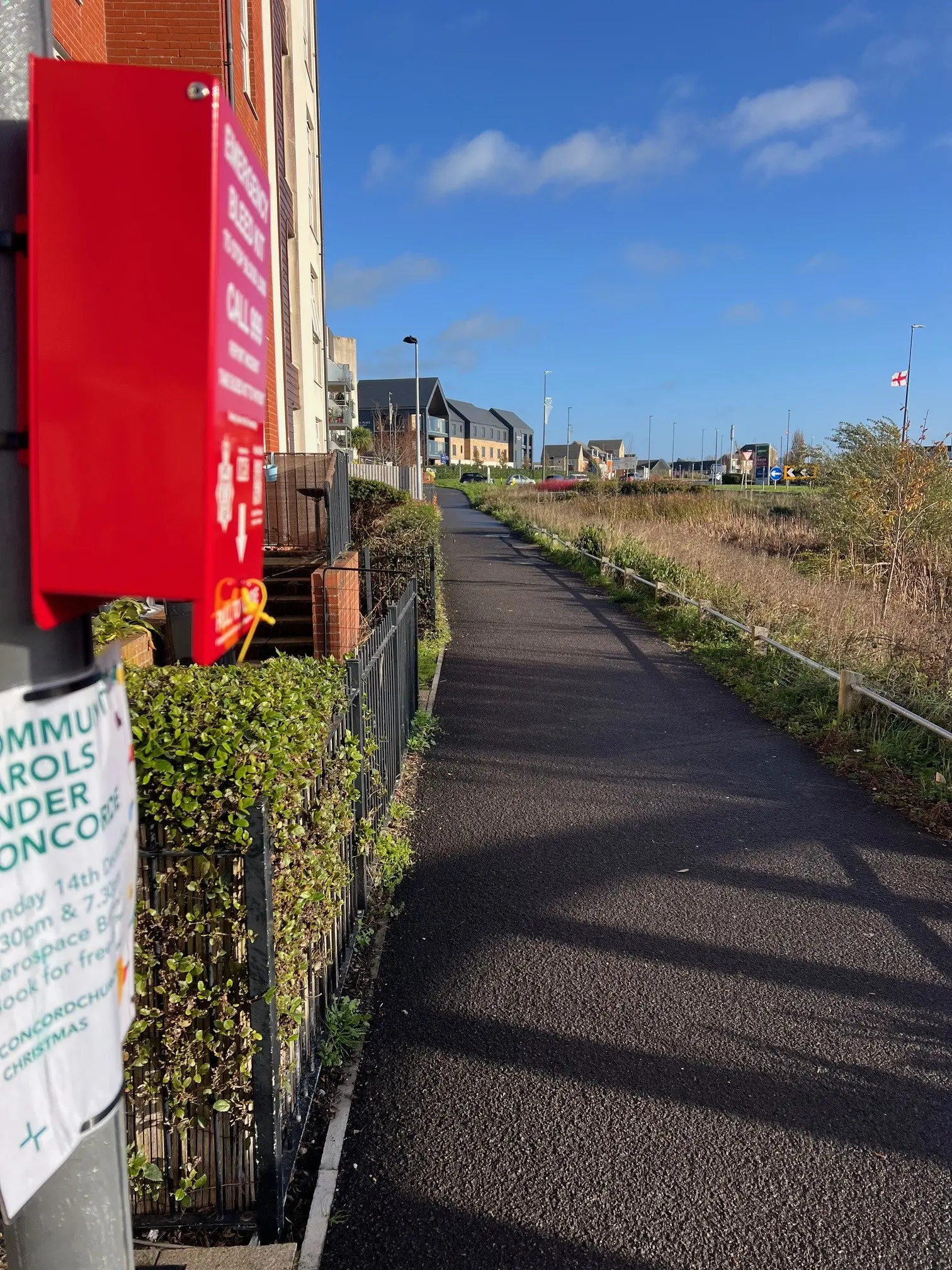 Ring Mead Footbridge