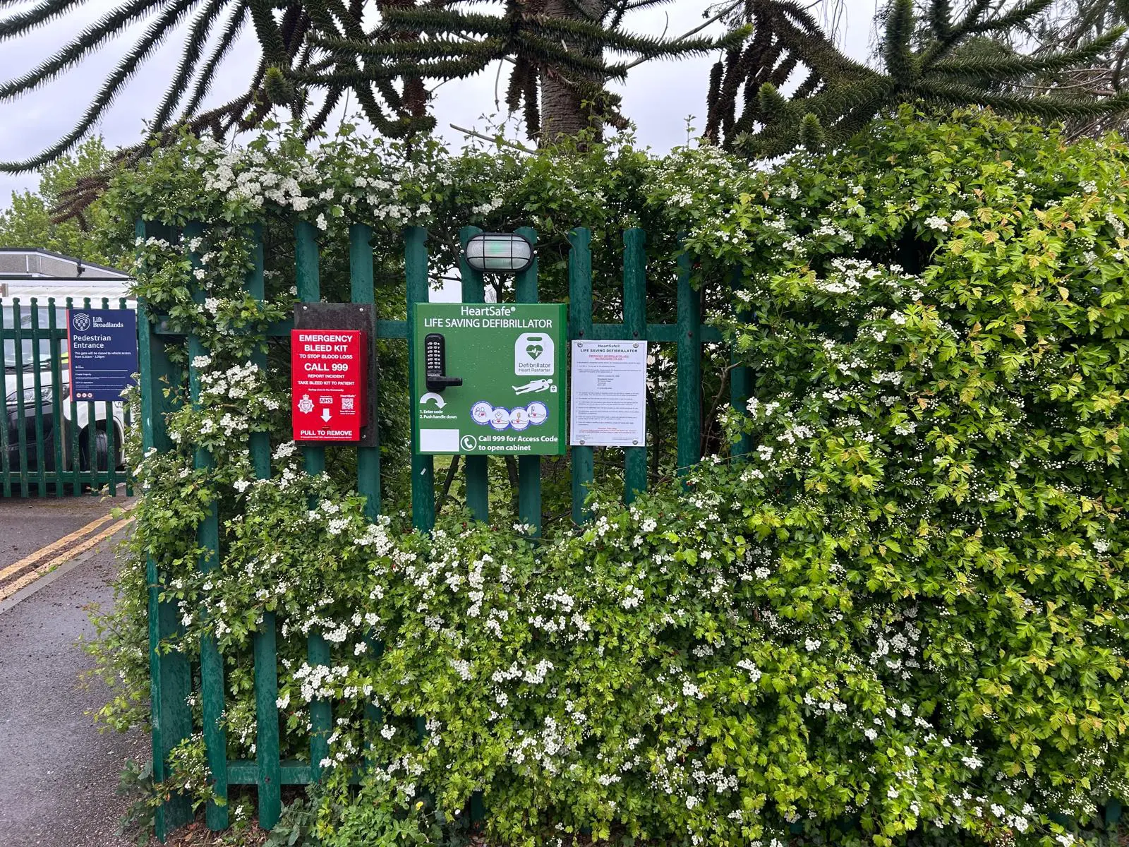 Broadlands School Railings